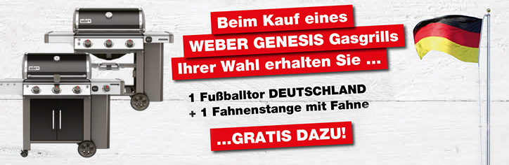 weber-genesis-gasgrill-fahne-tor-gratis